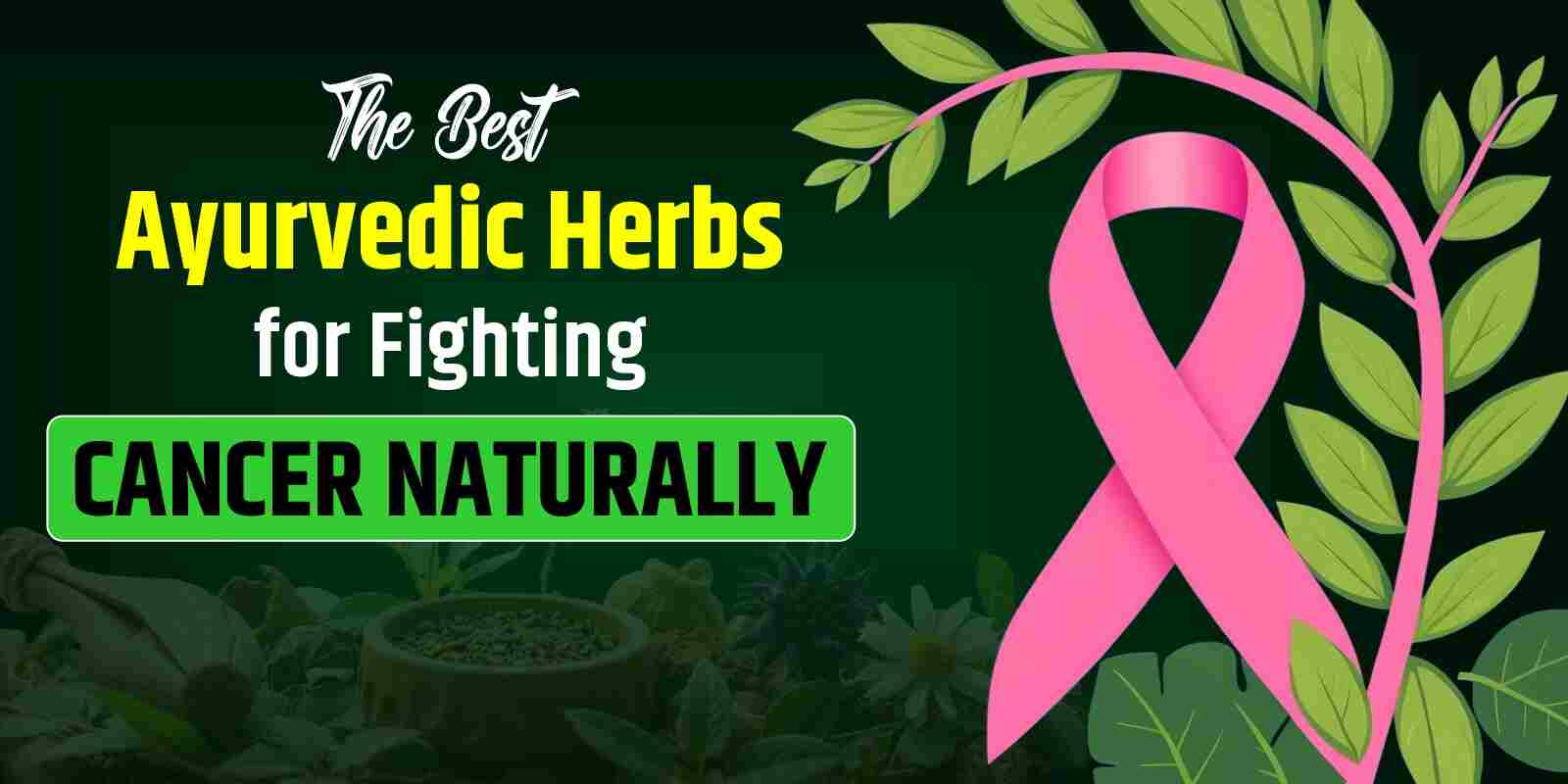 The Best Ayurvedic Herbs for Fighting Cancer Naturally